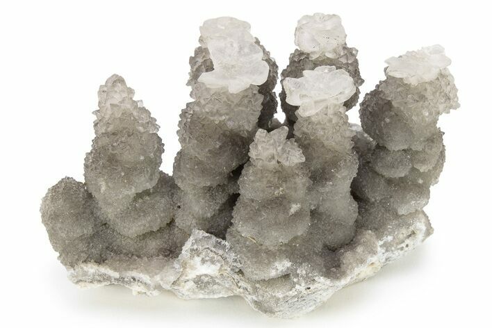 Cave Calcite Flower Stalactites - China #226185